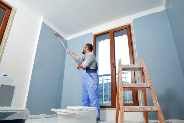 Best Comprehensive Air Testing for Mold Contaminants  in Linden, NJ