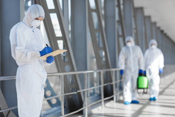 Linden, NJ Mold Removal Company
