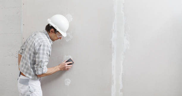 Best Airborne Mold Testing  in Linden, NJ