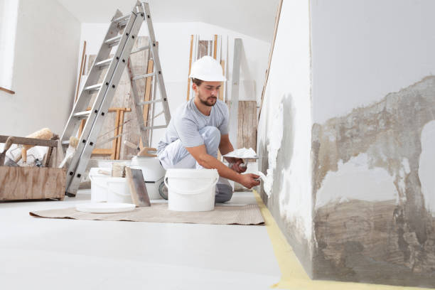 Best Mold Damage Restoration  in Linden, NJ