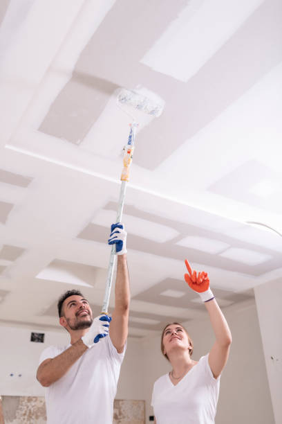Best Basement Mold Removal  in Linden, NJ