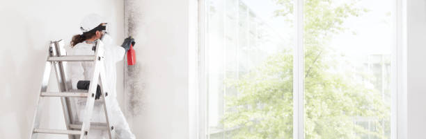 Best Forensic Mold Investigation  in Linden, NJ