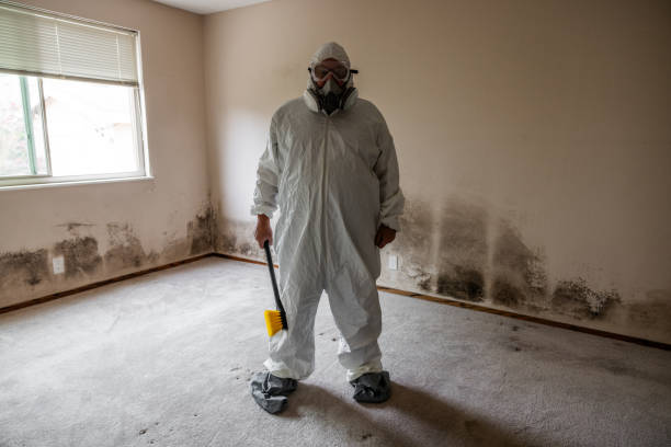 Best Air Quality Testing for Mold Spores  in Linden, NJ