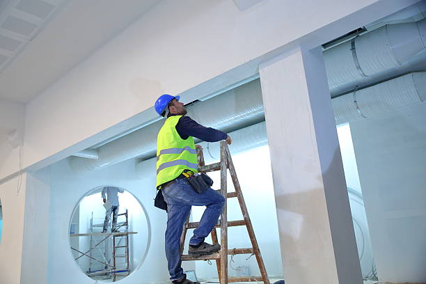 Best Environmental Consulting for Mold Prevention  in Linden, NJ